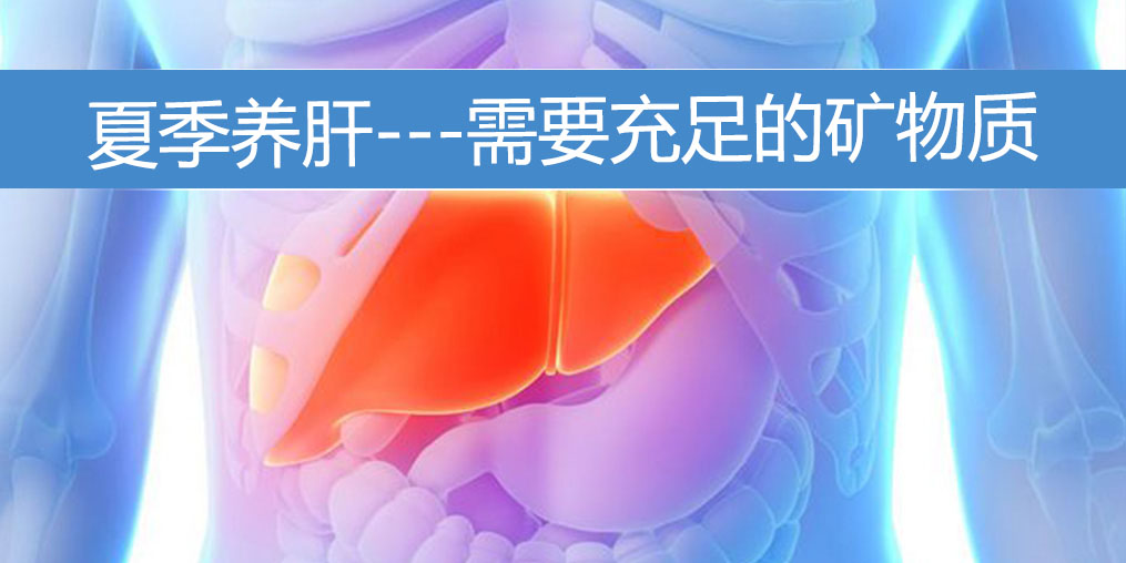 夏季養肝需要充足的礦物質，保護肝功能