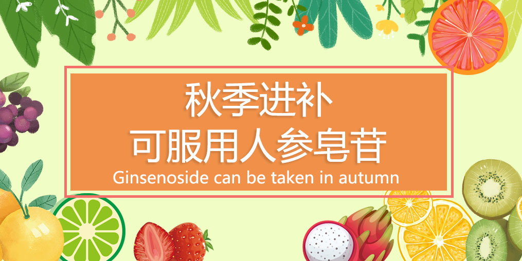 秋季進補最佳時，可適當服用人參皂苷嗎？