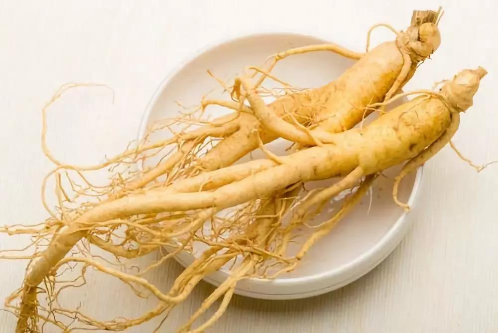 秋季養肺潤肺，能吃人參皂苷嗎？