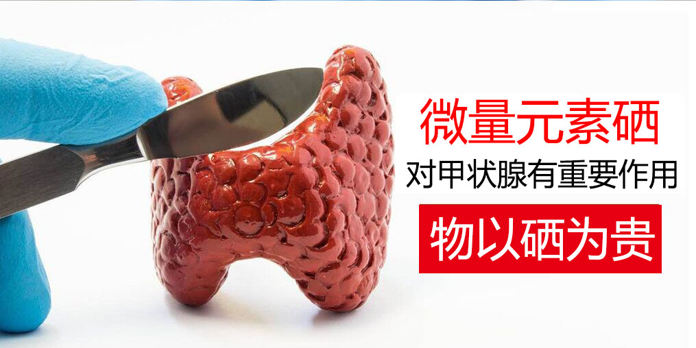 物以“硒”為貴，甲狀腺疾病能適當補硒嗎？