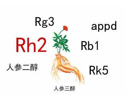中藥人參皂苷的輔助作用，Rh2和Rg3都不錯