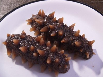 冬季滋補養生，多吃海參會上火嗎？